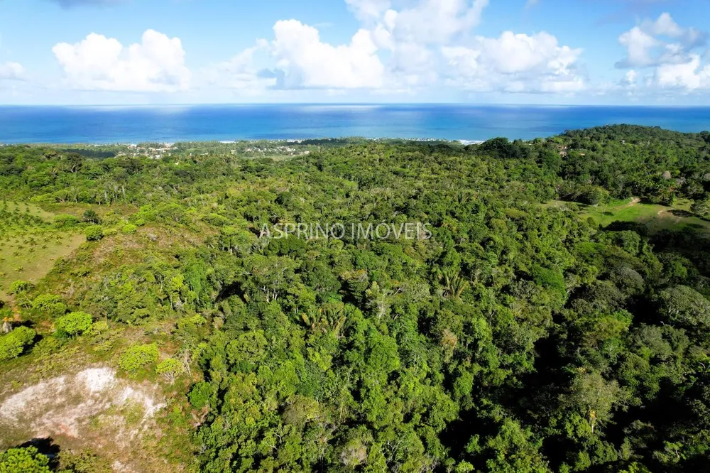 Terreno, 11 hectares - Foto 6