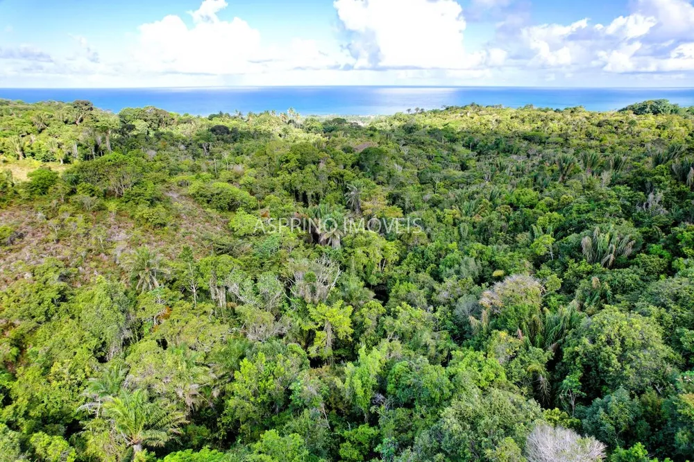 Terreno, 11 hectares - Foto 7