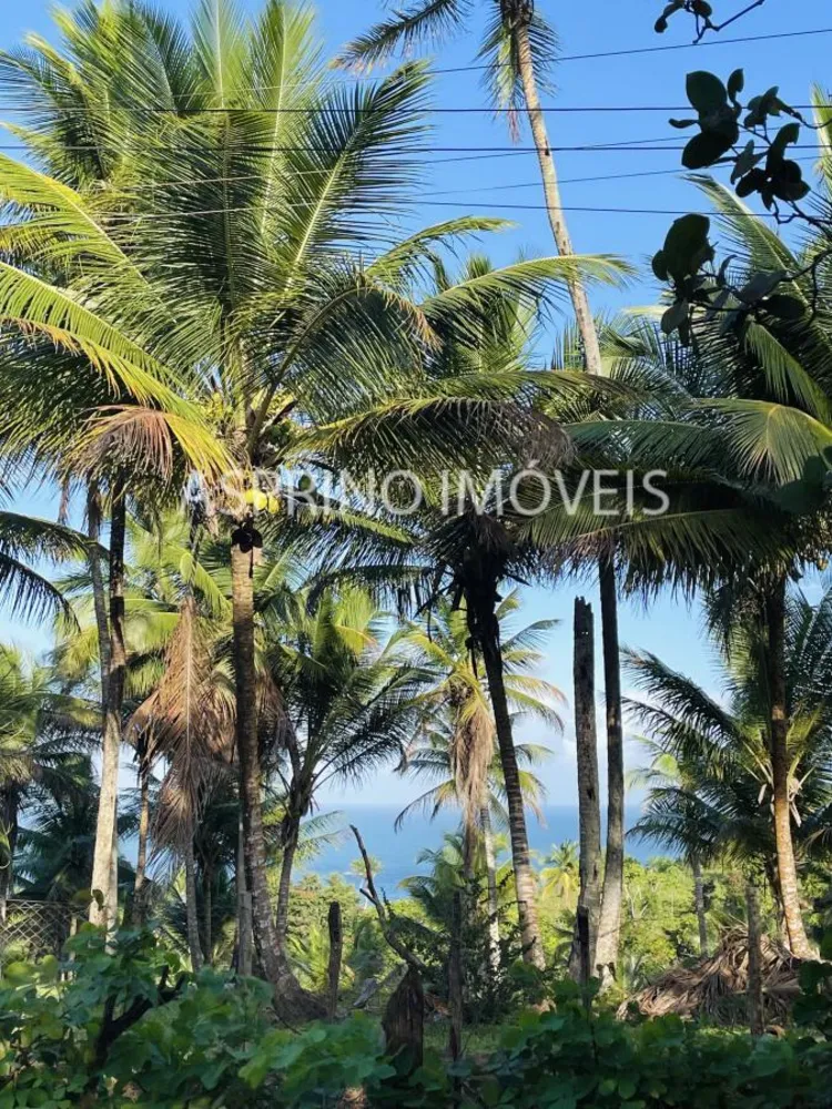 Terreno, 6 hectares - Foto 10