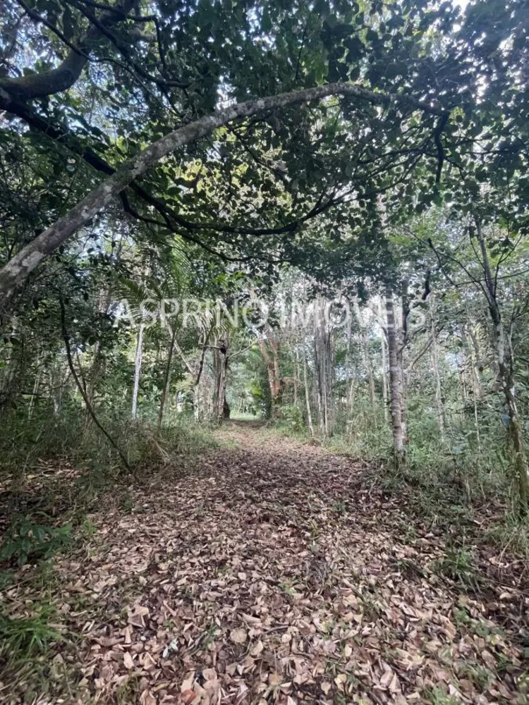 Terreno, 6 hectares - Foto 11