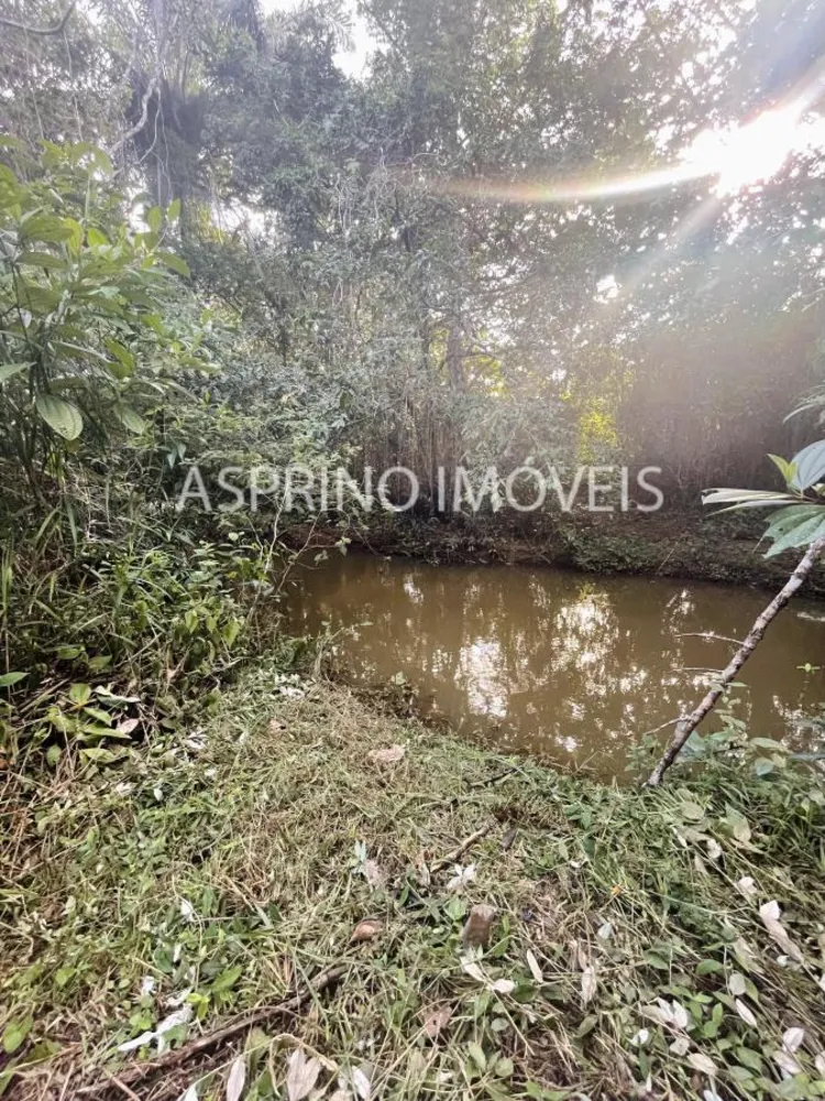 Terreno, 6 hectares - Foto 12