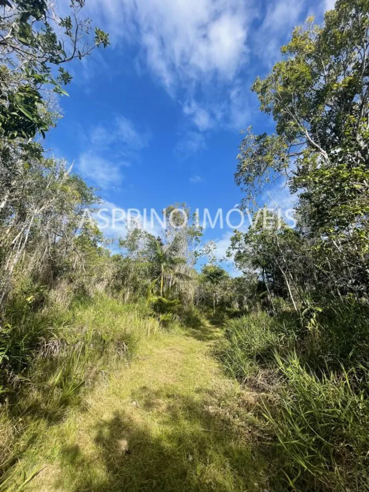 Terreno, 6 hectares - Foto 8