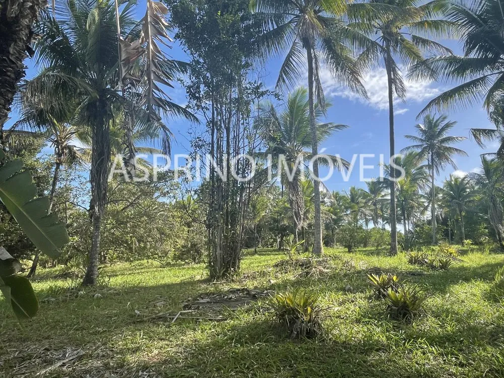 Terreno, 6 hectares - Foto 4