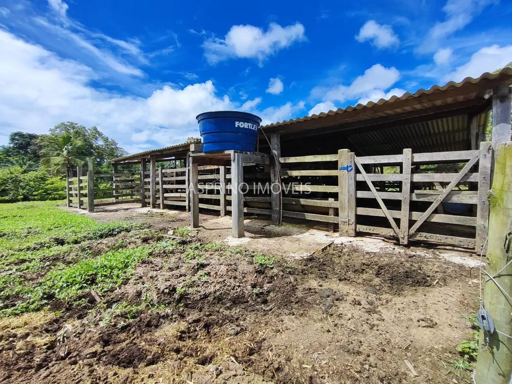 Fazenda, 106 hectares - Foto 7