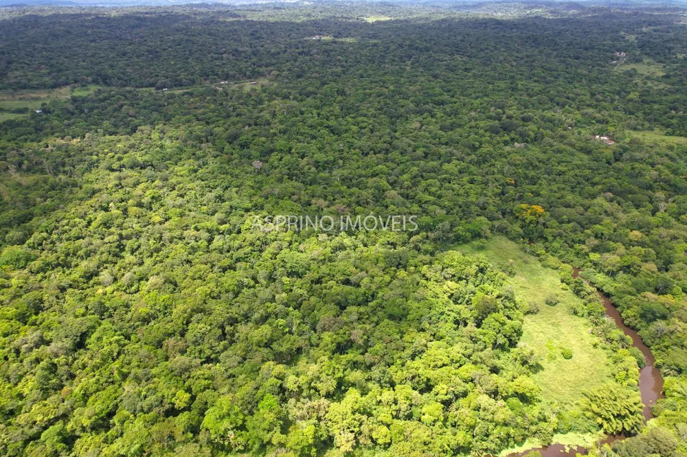 Fazenda, 106 hectares - Foto 12
