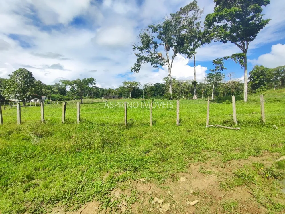 Fazenda, 106 hectares - Foto 6