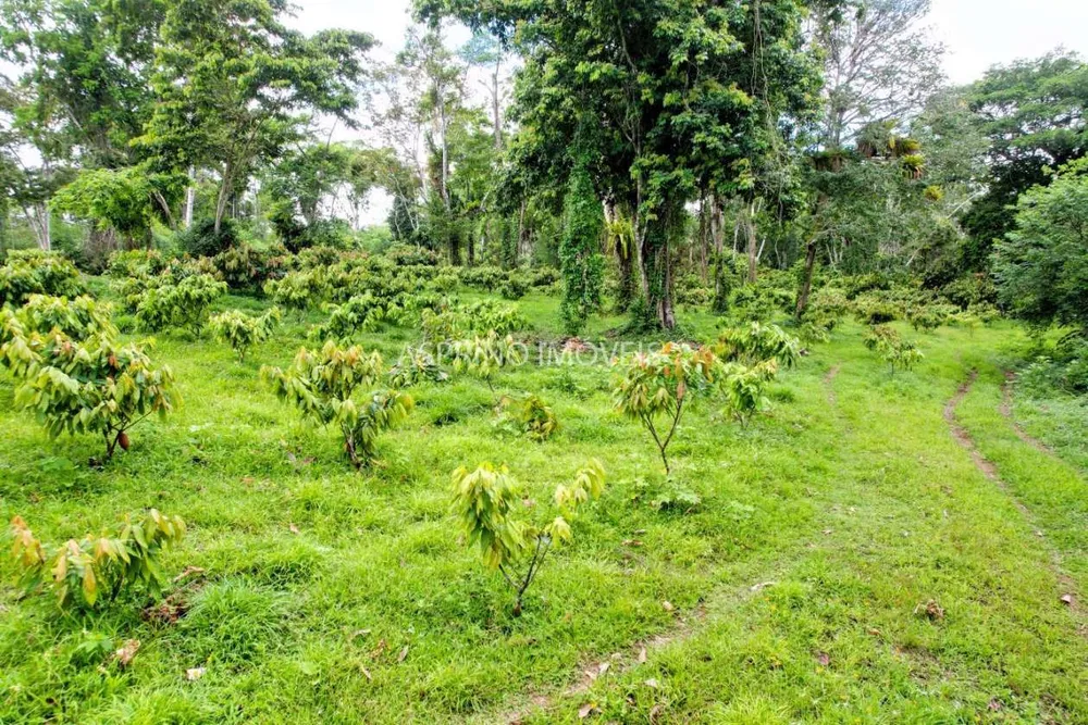 Fazenda, 106 hectares - Foto 10