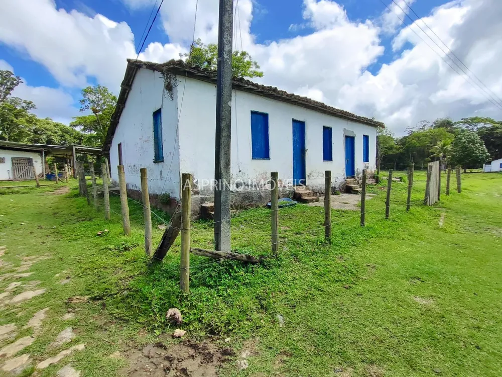 Fazenda, 106 hectares - Foto 4