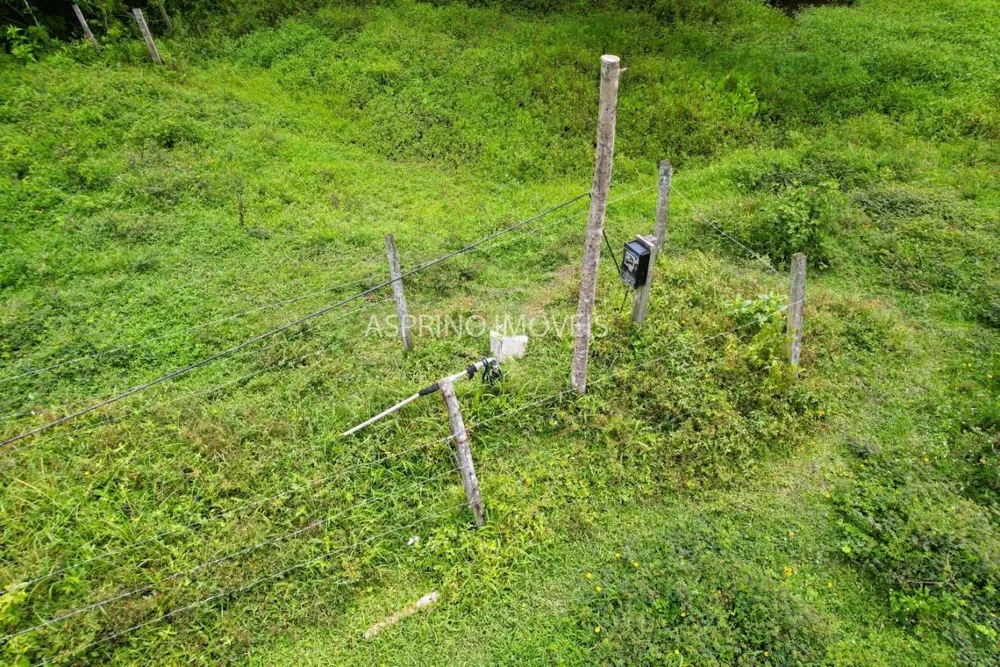 Fazenda, 106 hectares - Foto 11