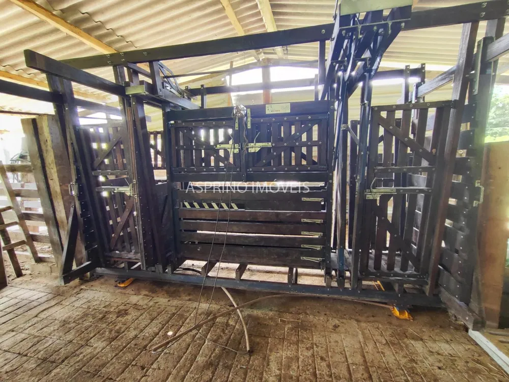 Fazenda, 106 hectares - Foto 8
