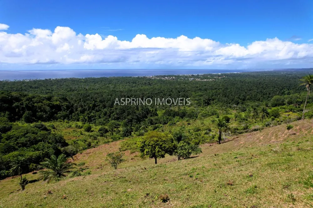 Fazenda, 70 hectares - Foto 6