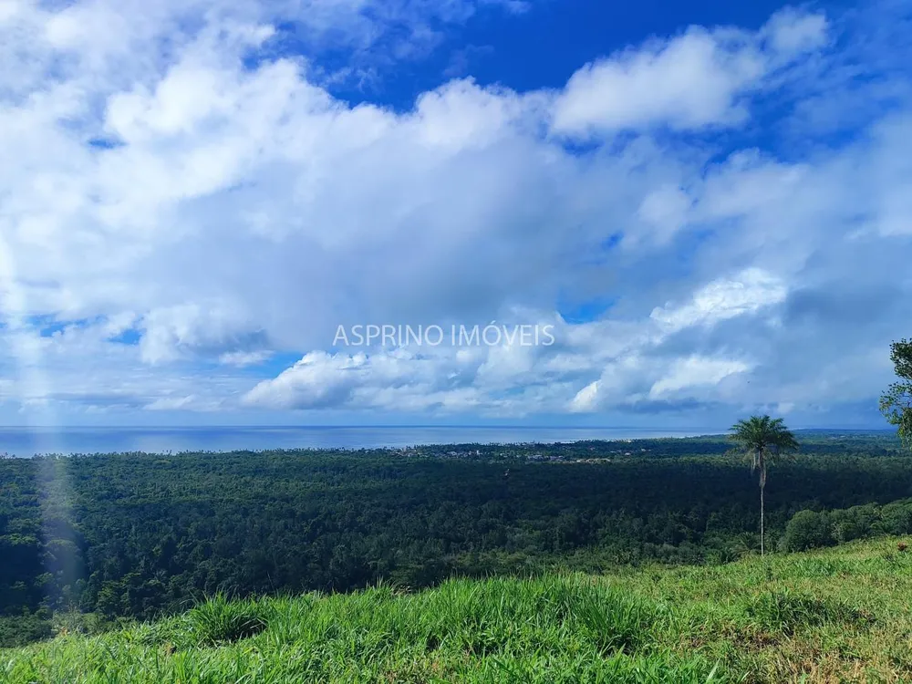 Fazenda, 70 hectares - Foto 7