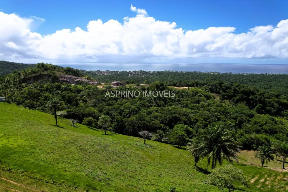 Fazenda, 70 hectares - Foto 1