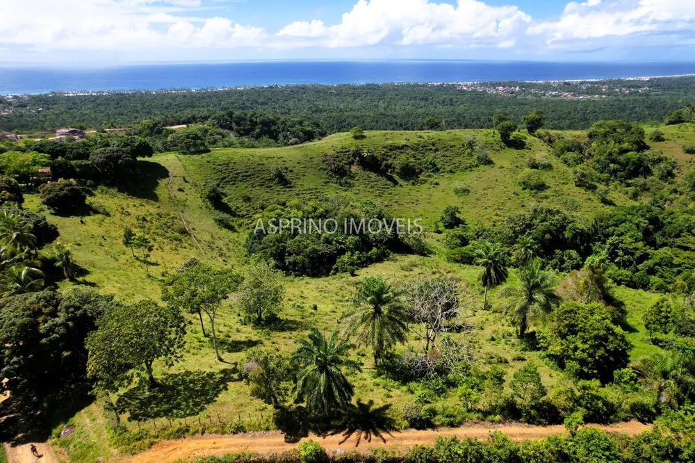 Fazenda, 70 hectares - Foto 4