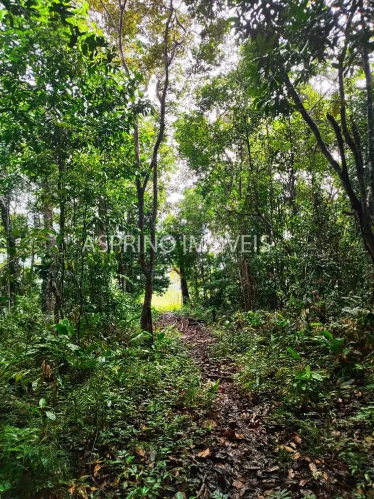Fazenda, 70 hectares - Foto 4