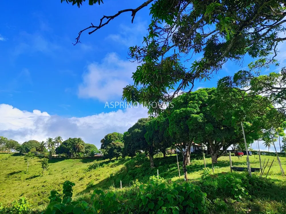 Fazenda, 70 hectares - Foto 1