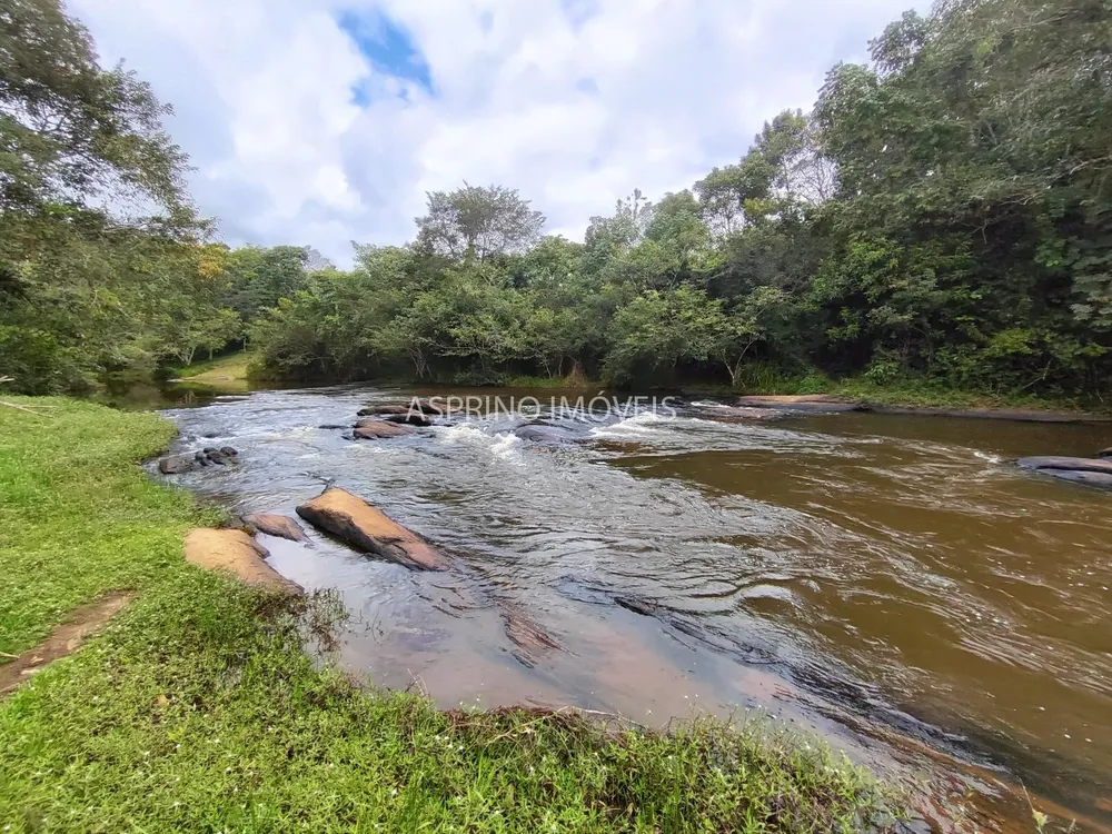 Fazenda, 58 hectares - Foto 4