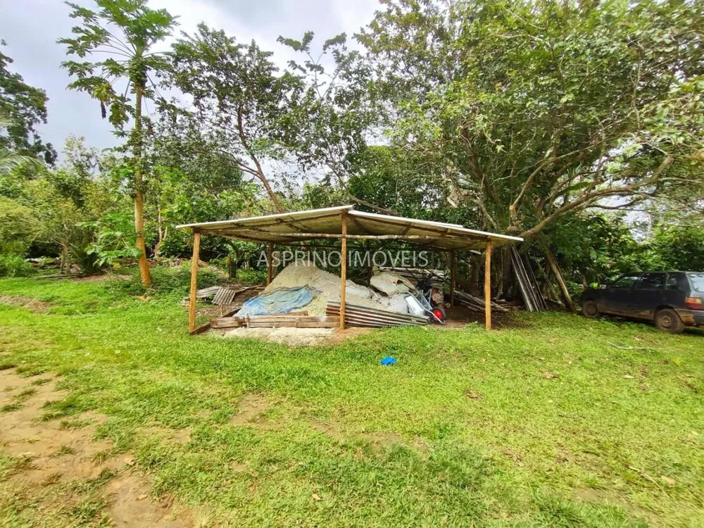 Fazenda, 58 hectares - Foto 9