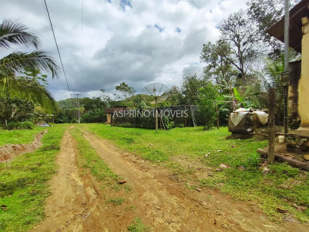 Fazenda, 58 hectares - Foto 10