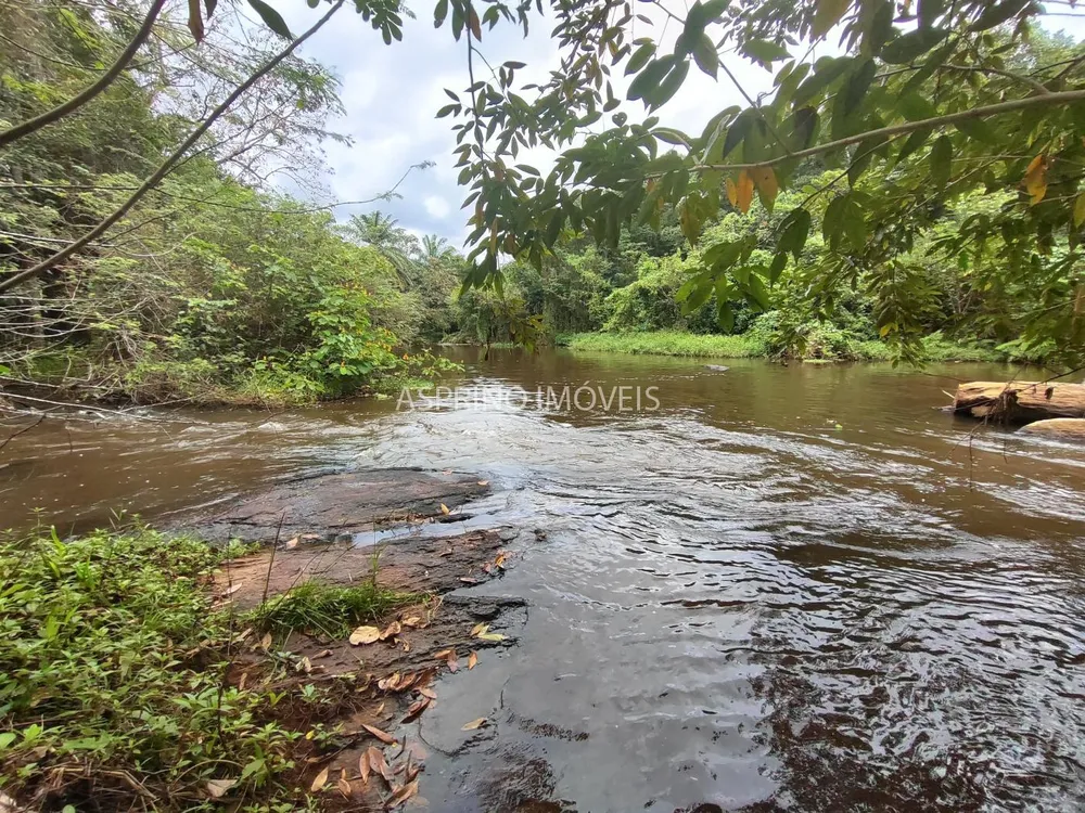 Fazenda, 58 hectares - Foto 3