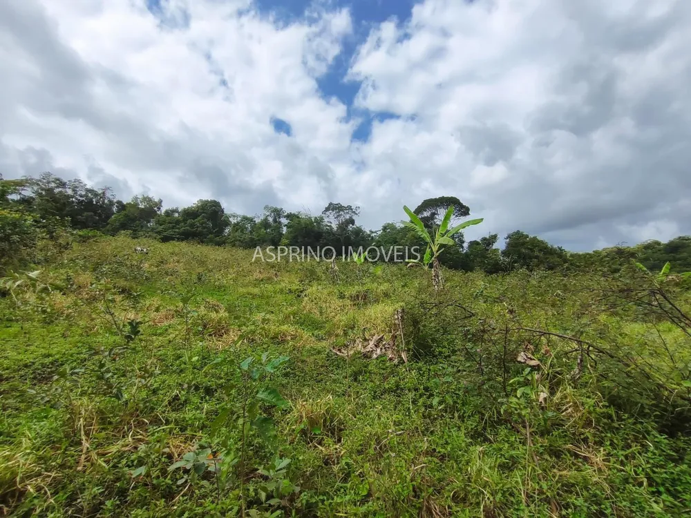 Fazenda, 58 hectares - Foto 11