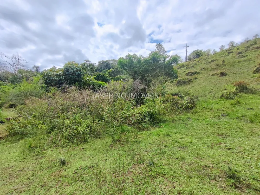 Fazenda, 58 hectares - Foto 12