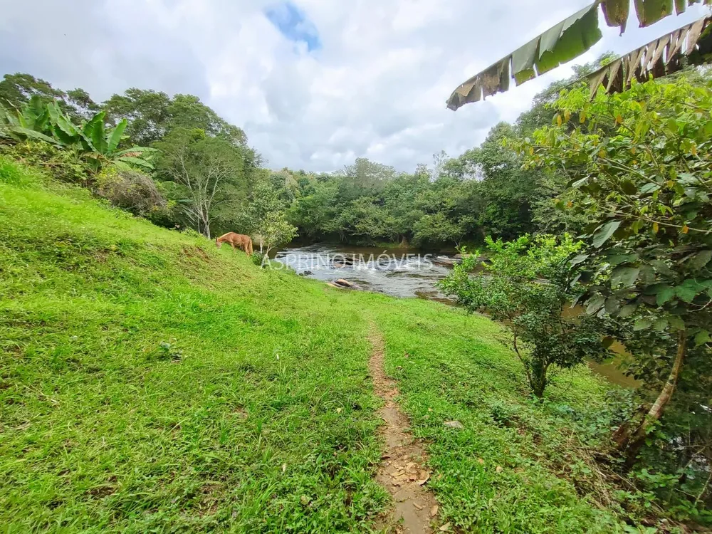 Fazenda, 58 hectares - Foto 7