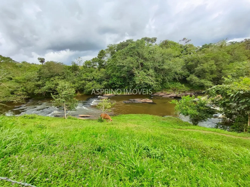 Fazenda, 58 hectares - Foto 2