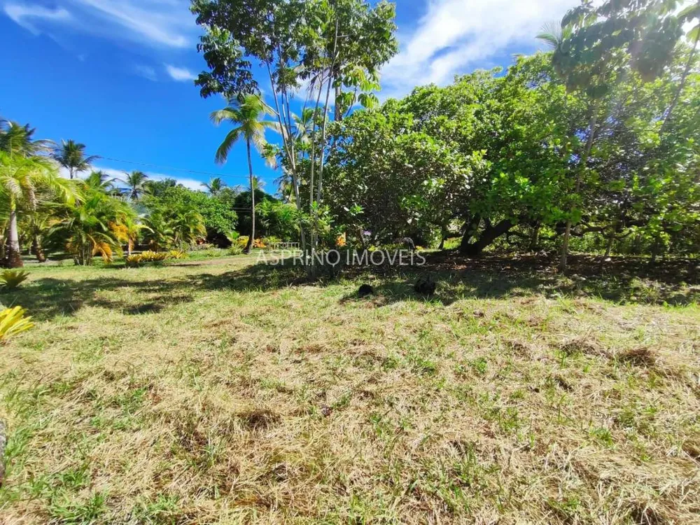 Terreno, 3344 m² - Foto 2