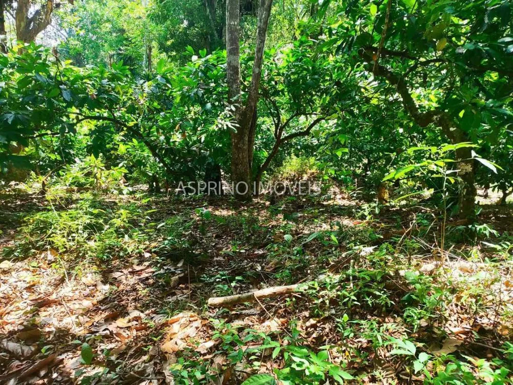 Fazenda, 18 hectares - Foto 10