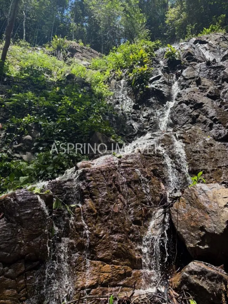 Terreno, 2 hectares - Foto 1