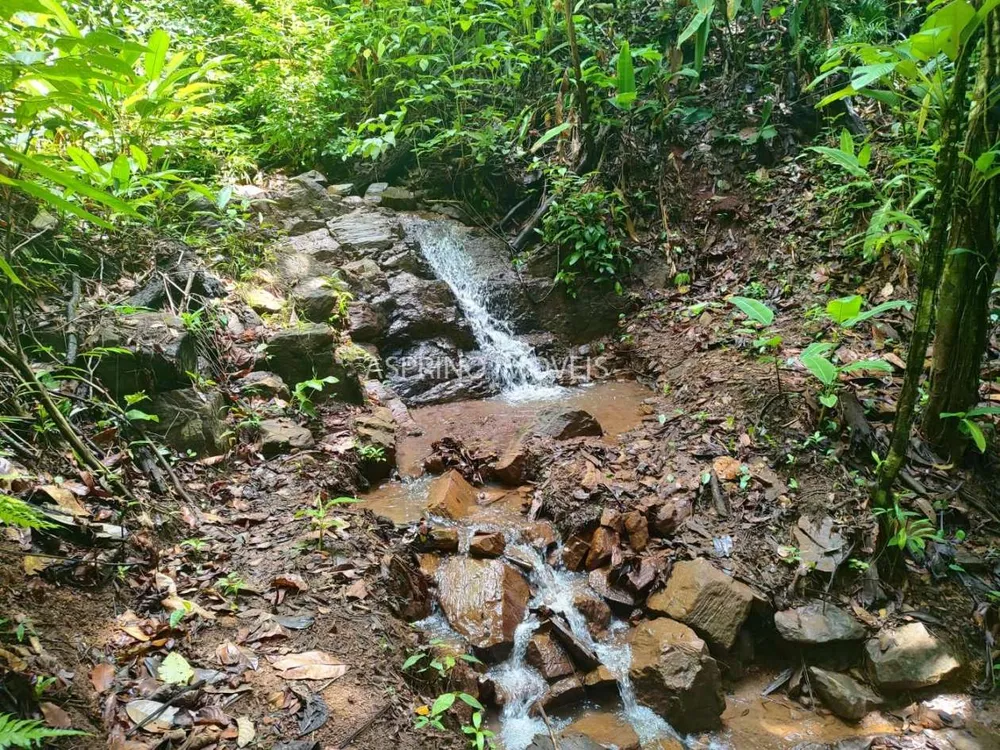 Terreno, 2 hectares - Foto 4