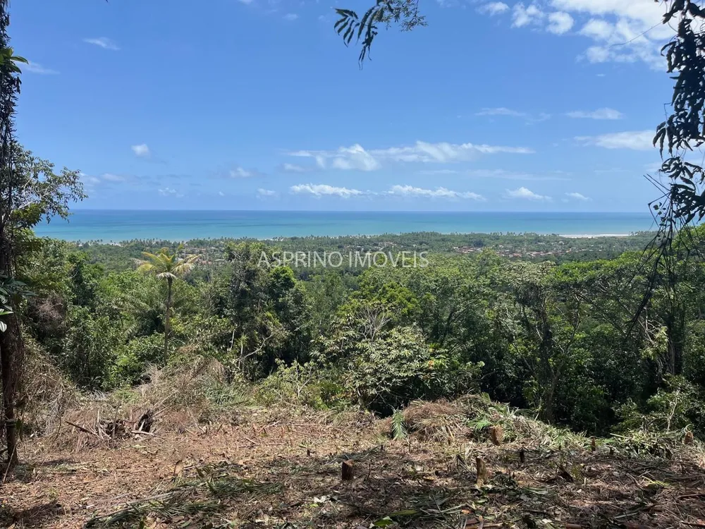 Terreno, 2 hectares - Foto 3