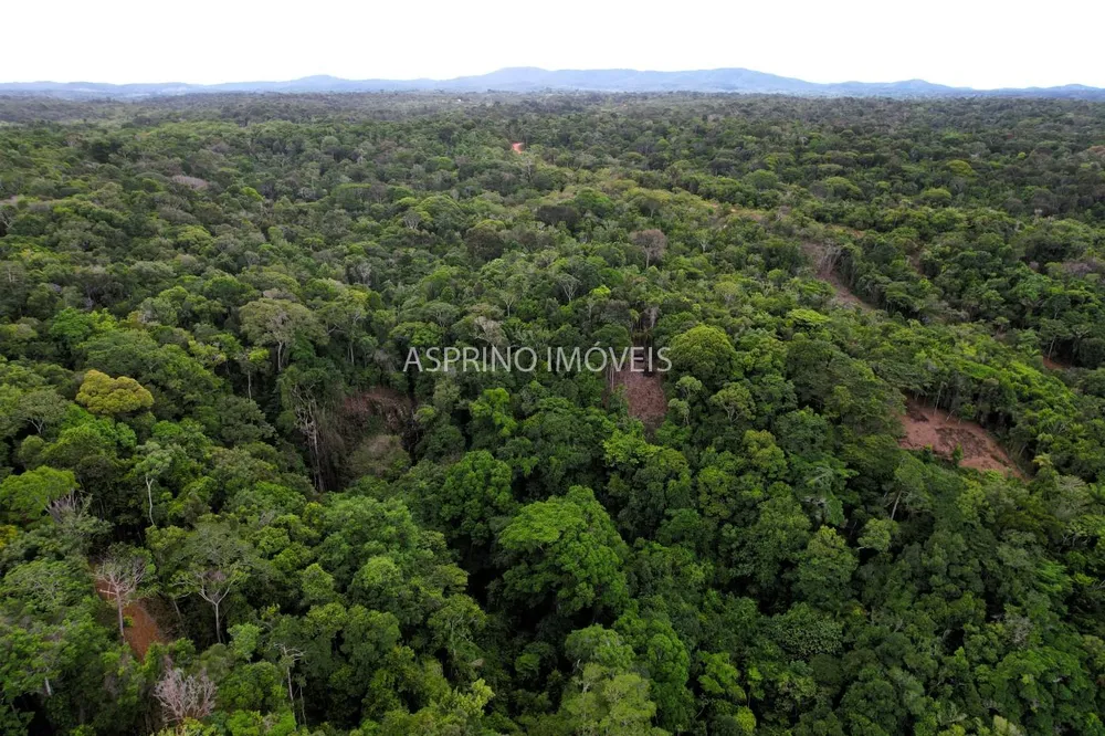Terreno, 2 hectares - Foto 4