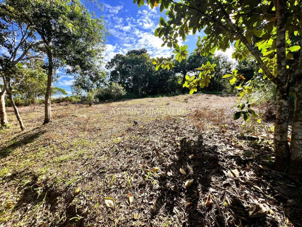 Terreno, 1005 m² - Foto 9