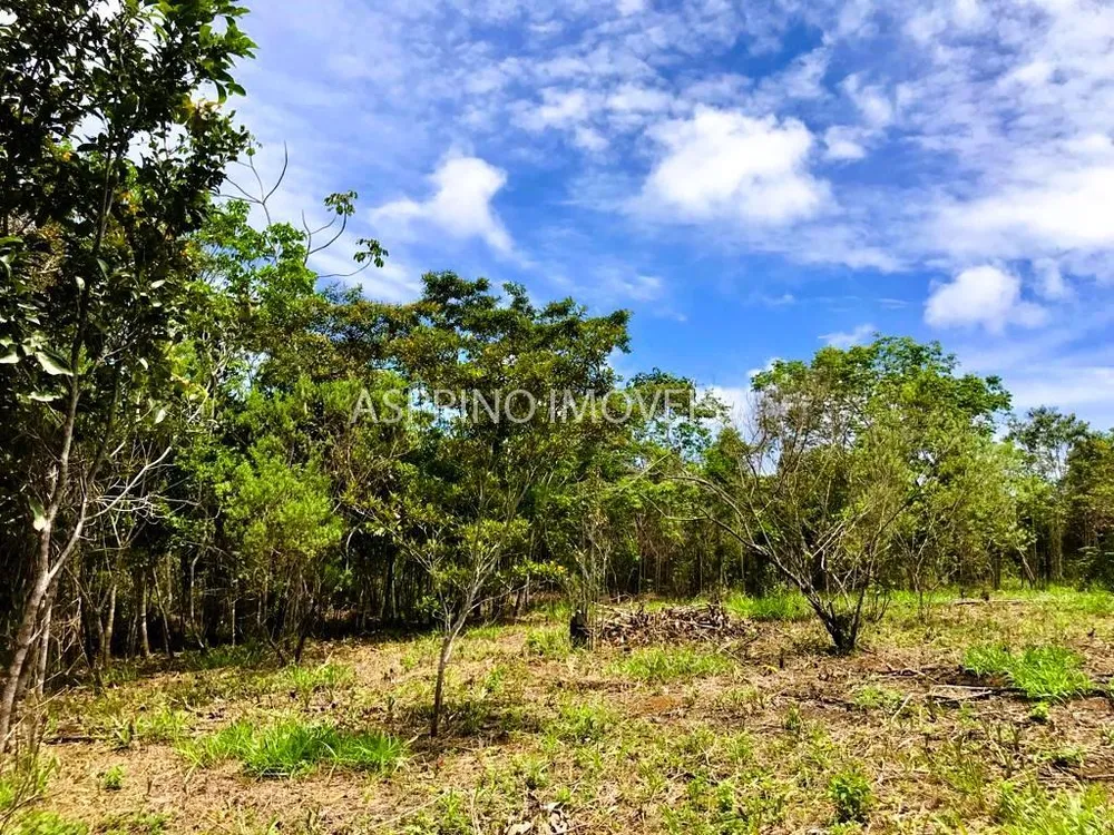 Terreno, 1005 m² - Foto 6