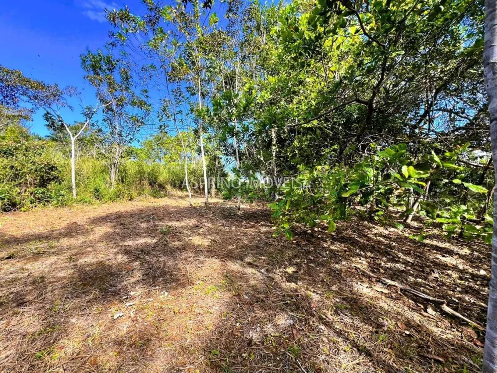 Terreno, 1005 m² - Foto 7