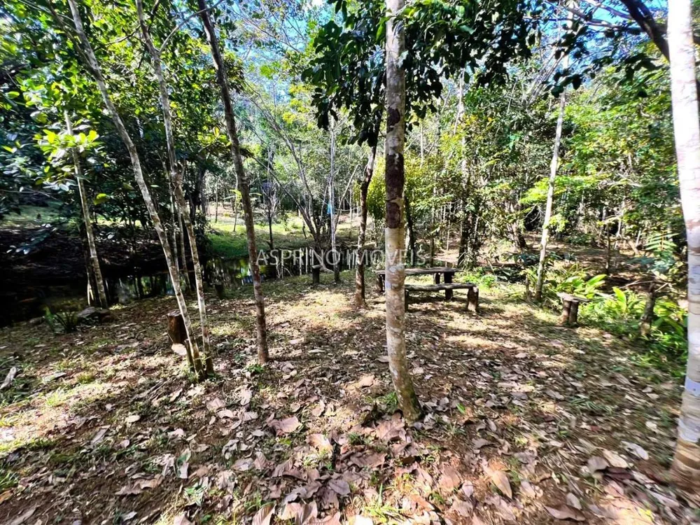Terreno, 1005 m² - Foto 5