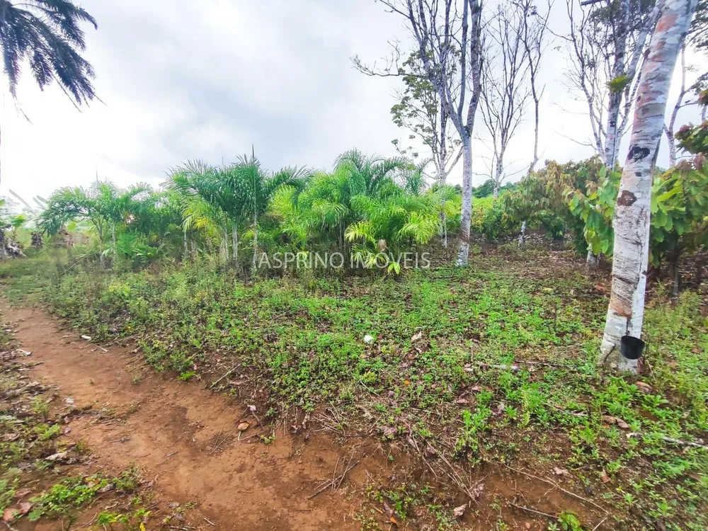 Fazenda, 145 hectares - Foto 8