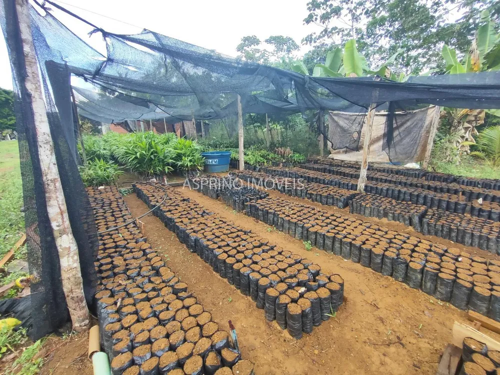 Fazenda, 145 hectares - Foto 7