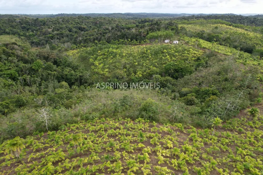 Fazenda, 145 hectares - Foto 10