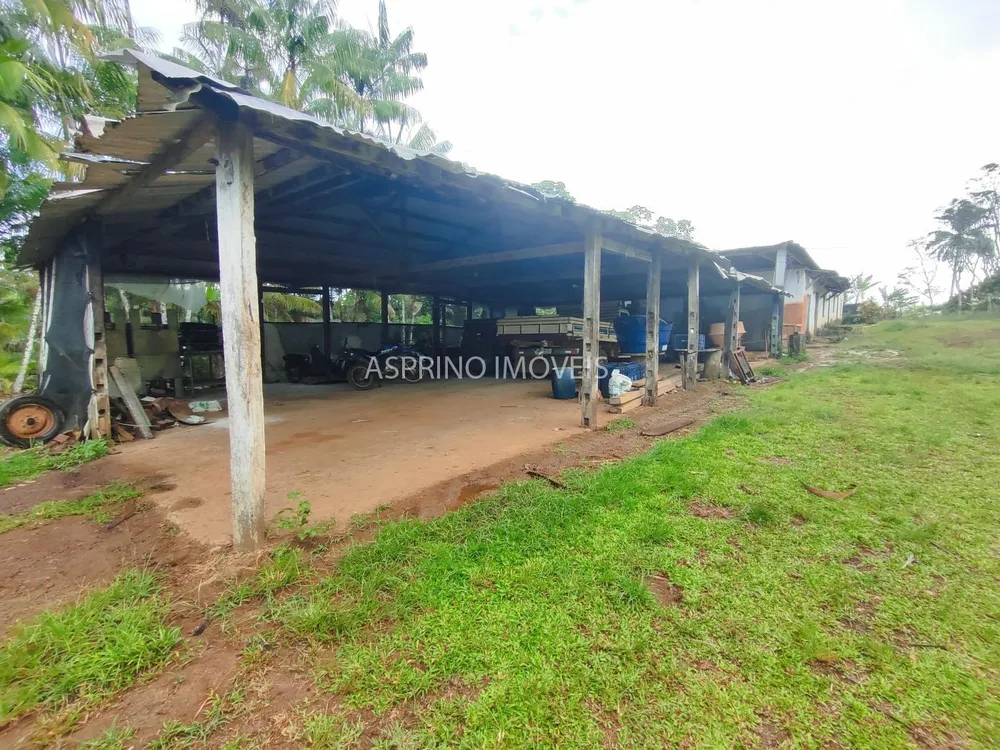 Fazenda, 145 hectares - Foto 4