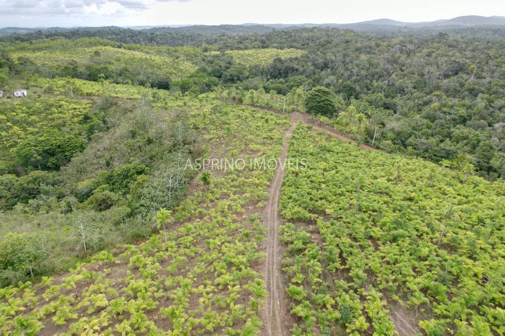 Fazenda, 145 hectares - Foto 11
