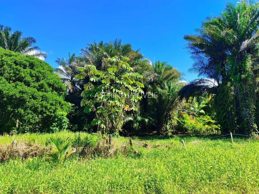 Terreno, 800 m² - Foto 5