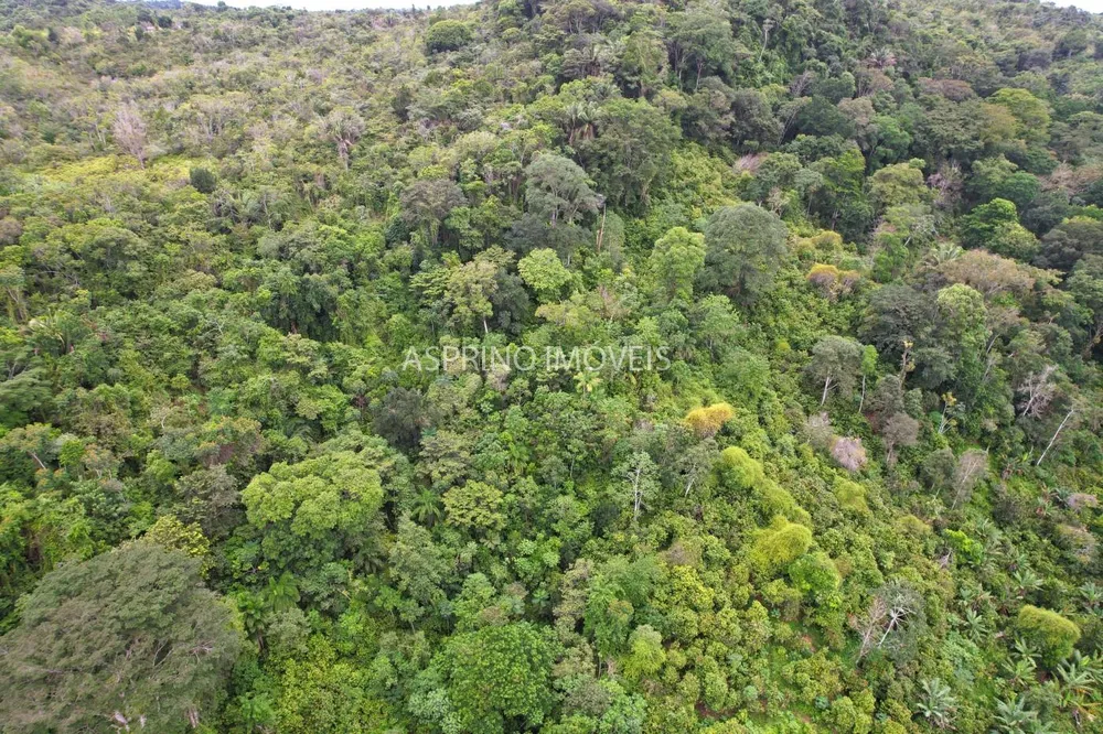 Sítio, 5 quartos, 13 hectares - Foto 7