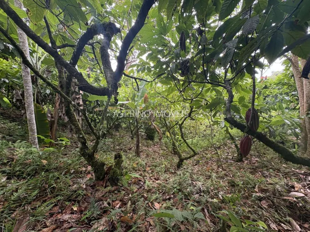 Sítio, 5 quartos, 13 hectares - Foto 10