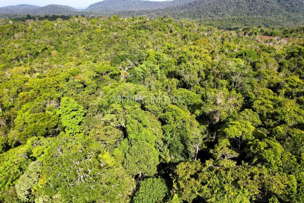 Terreno, 3 hectares - Foto 6