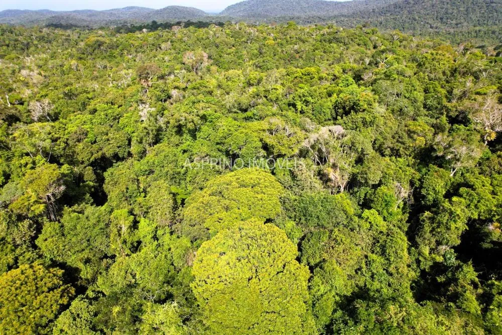 Terreno, 3 hectares - Foto 4