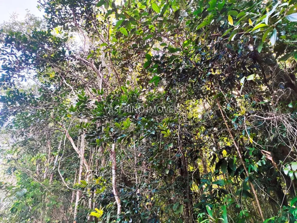 Terreno, 3 hectares - Foto 12