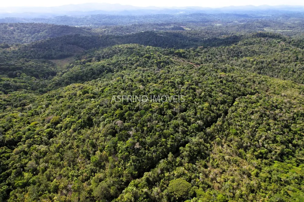 Terreno, 3 hectares - Foto 7